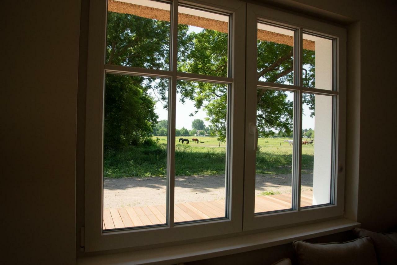 Gruene Hufe Villa Born Eksteriør billede